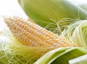 к чему снится поле кукурузы