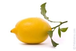 Сонник Лимон
