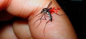 убить комара